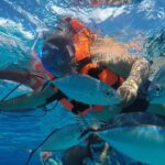Private Sky Snorkeling Tour - The Guides: Who Makes a Difference