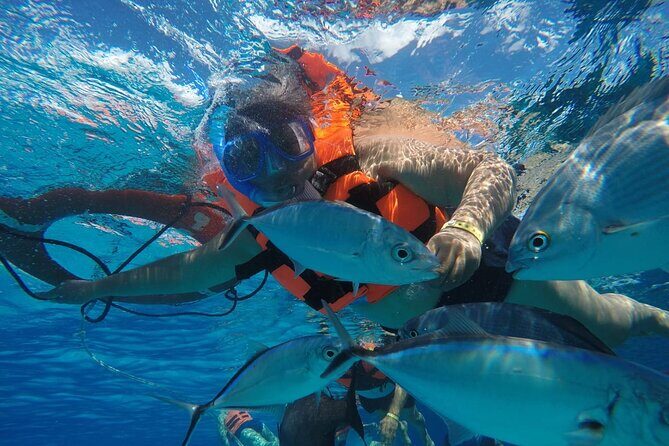 Private Sky Snorkeling Tour - The Guides: Who Makes a Difference