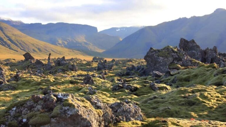 Private Snaefellsnes Peninsula Tour from Grundarfjörður - A Closer Look at the Itinerary