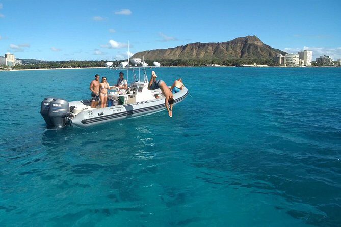 Private Snorkeling and Wildlife on The Adventure Boat - The Experience of the Boat Ride
