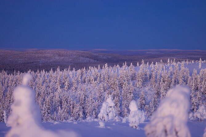 Private Snowshoe or Ski Adventure in Lapland - Why This Tour Might Be Perfect for You