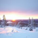 Private: Snowshoeing Safari in spectacular National Park - Why This Tour Could Be Perfect for You