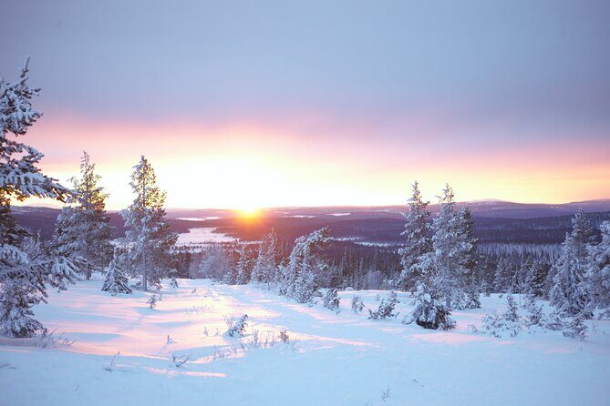 Private: Snowshoeing Safari in spectacular National Park - Why This Tour Could Be Perfect for You