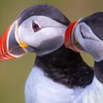 Private South Coast Tour with a Professional Photographer/Guide - FAQ