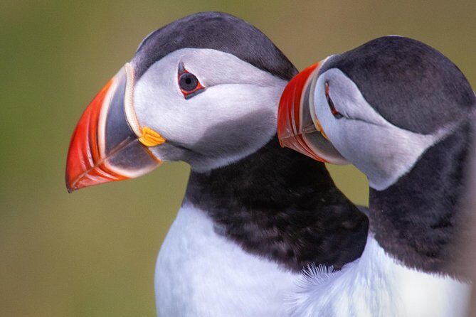 Private South Coast Tour with a Professional Photographer/Guide - FAQ