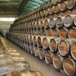 Private Special Tour Around Lisbon and Wine Tasting - FAQs About the Tour