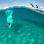 Private Speedboat Cruise from Delos to Rhenia and Mykonos - Diving into the Details of the Itinerary