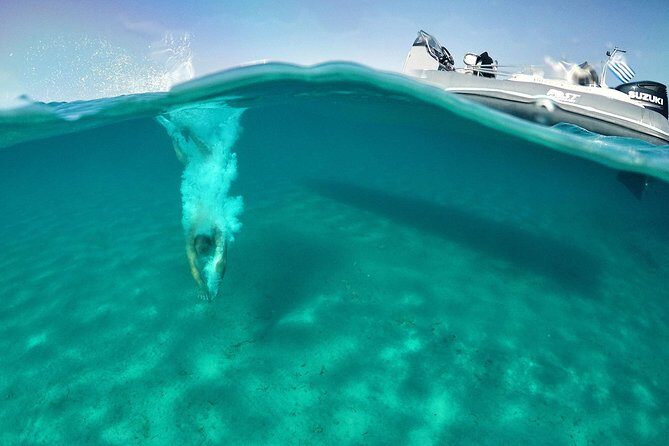 Private Speedboat Cruise from Delos to Rhenia and Mykonos - Diving into the Details of the Itinerary