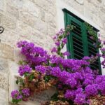 Private Split & Trogir Tour - Day Trip from Split - Things to Consider