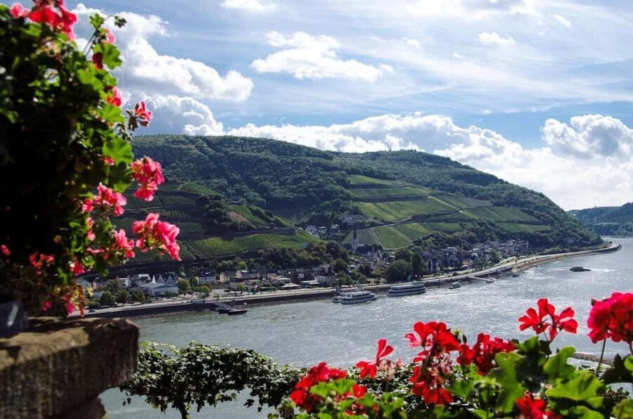 Private sports boat experience on the Rhine and, if you wish, with a castle visit - The Allure of a Private Rhine Waterway