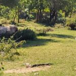 Private Swimming at Waterfalls and Kayaking through the Canyon - What to Expect from the Tour