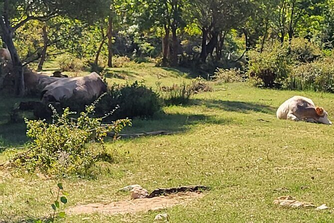 Private Swimming at Waterfalls and Kayaking through the Canyon - What to Expect from the Tour