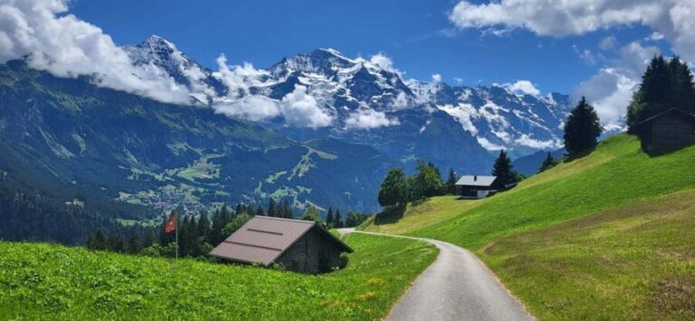 Private Swiss Alps Tour, Lakes, Villages, Waterfalls - Who Will Appreciate This Tour?