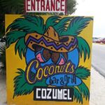 Private Tacos and Bar Hopping Tour in Cozumel - Whats Included and What to Expect