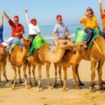 Private Tangier Tour from Gibraltar including Camel & Lunch - The Practicalities: Transport, Guides, and Meals