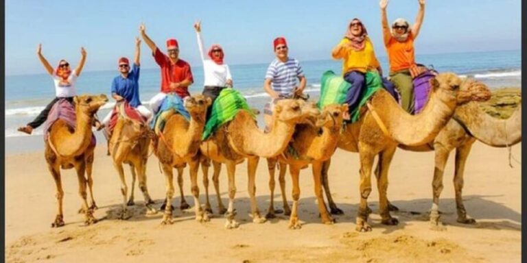 Private Tangier Tour from Gibraltar including Camel & Lunch - The Practicalities: Transport, Guides, and Meals