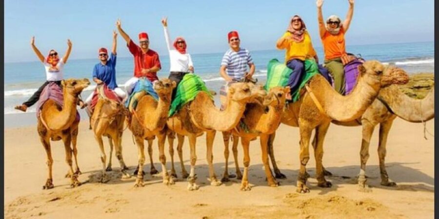 Private Tangier Tour from Gibraltar including Camel & Lunch - The Practicalities: Transport, Guides, and Meals