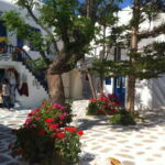 Private: Taste of Mykonos: Panoramic Views & Local Delights - A Detailed Look at What Makes This Tour Special