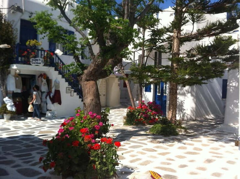 Private: Taste of Mykonos: Panoramic Views & Local Delights - A Detailed Look at What Makes This Tour Special