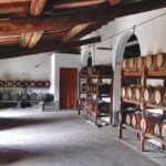 Private tasting of organic wines in the cellar in Arezzo - The Tasting Experience: Flavors with a Story