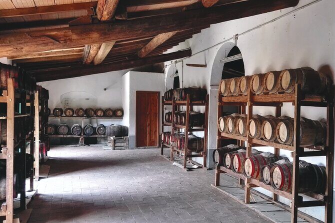 Private tasting of organic wines in the cellar in Arezzo - The Tasting Experience: Flavors with a Story