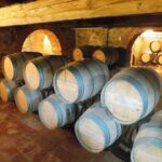 Private tasting of wines and oil to discover Lucca Ducale - Who Is This Tour Best For?