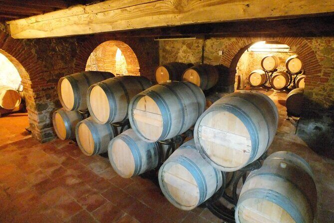Private tasting of wines and oil to discover Lucca Ducale - Who Is This Tour Best For?