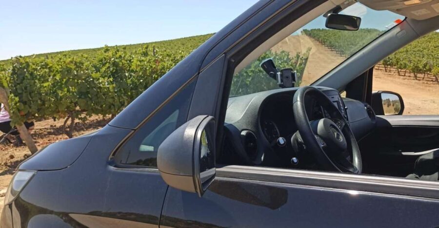 Private Tour Alentejo: Évora, WineTasting and Monsaraz - The Deep Dive: What to Expect from This Alentejo Adventure