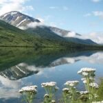 Private Tour: Anchorage 3-Hour Tour - Who Is It Best For?