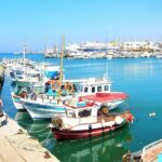 Private Tour at the Palace of Knossos and Museum in Crete - Practical Details and What to Keep in Mind
