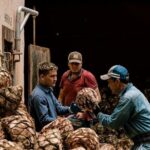 Private Tour Cascahuin Distillery and visit to Tequila - Who Should Consider This Tour?