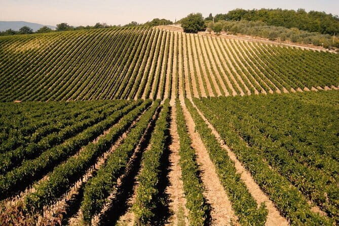 Private Tour: Chianti Winery, Montefioralle, and Greve in Chianti - Exploring the Tour: A Step-by-Step Breakdown