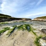 Private tour Cudillero, Puerto Vega Tremor & Luarca from Oviedo - The Transport and Overall Experience