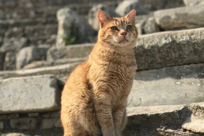 Private Tour : Customized Ephesus Tour for Cruisers from Kusadasi Ephesus Port - The House of Virgin Mary: A Spiritual Stop