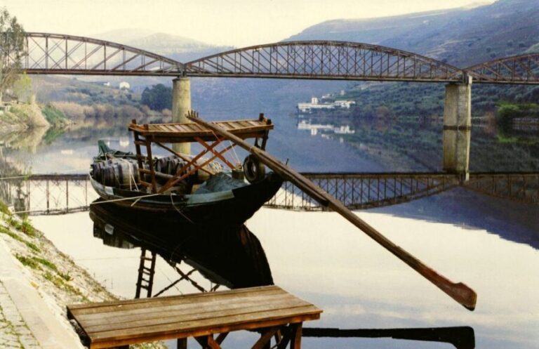 Private Tour: Douro Valley Wine and Food from Oporto - Who Is This Tour Best For?