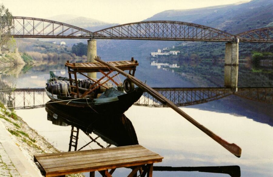 Private Tour: Douro Valley Wine and Food from Oporto - Who Is This Tour Best For?