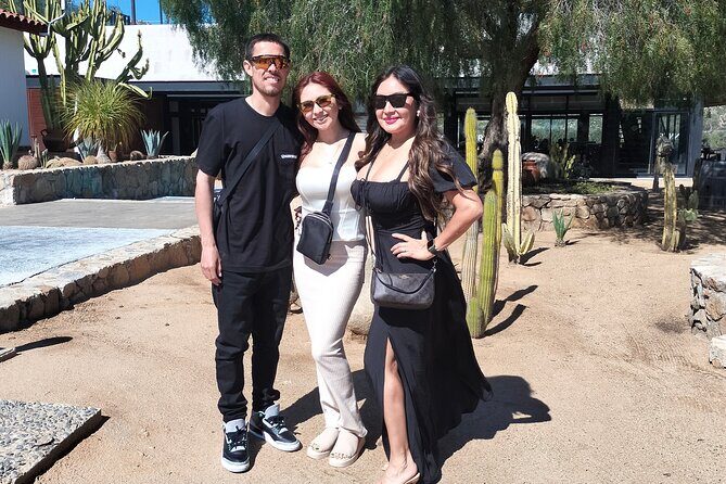 Private Tour EN Valle DE Guadalupe for 5 - 7 passengers - Who Should Consider This Tour?