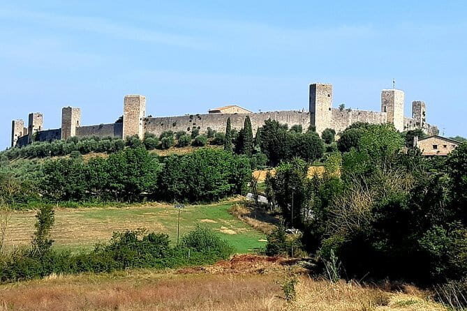 Private Tour: "FRANCIGENA WAY" in Chianti with Lunch & 2 Wine-tastings - Who Is This Tour Best For?