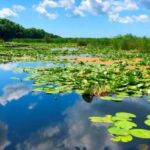 Private Tour from Bucharest to Danube Delta 2 Days Tour - Who Is This Tour Ideal For?