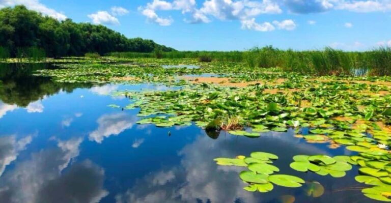 Private Tour from Bucharest to Danube Delta 2 Days Tour - Who Is This Tour Ideal For?