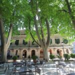 Private Tour From Montenegro: Trebinje & Tvrdos Monastery w/ Wine & Food Tasting - Final Thoughts: Who Should Consider This Tour?