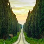 Private Tour from the Port of Livorno to Bolgheri - Starting Point: Livorno Port