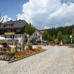 Private Tour from Zurich to Rhine Falls and Black Forest - An Overview of the Trip: What to Expect