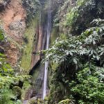 Private Tour Furnas: Furnas Lake Hike & Terra Nostra Park - The Geothermal Wonder: Caldeiras da Lagoa das Furnas