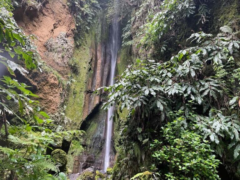 Private Tour Furnas: Furnas Lake Hike & Terra Nostra Park - The Geothermal Wonder: Caldeiras da Lagoa das Furnas