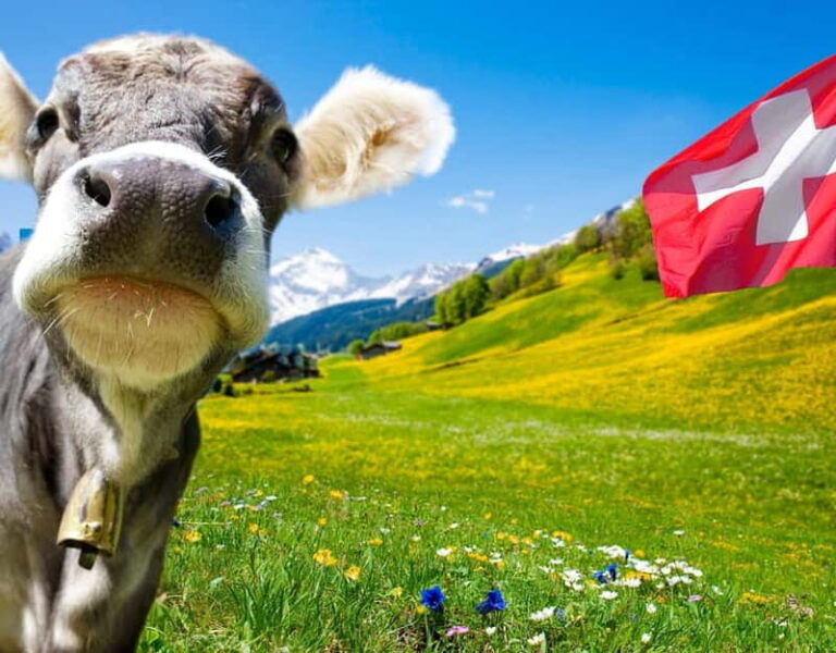 Private tour Geneva-Gruyère's: chocolate and cheese factory - The Journey Through Swiss Countryside