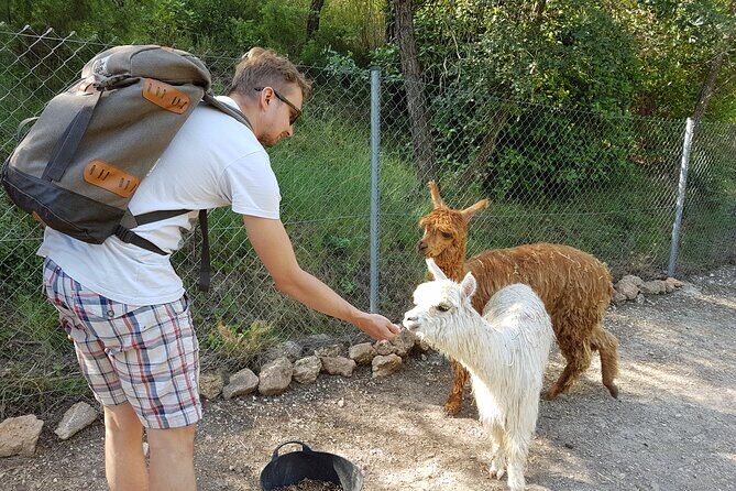 Private Tour - Hike and wine tasting at the Penedés - A Closer Look at the Itinerary: Stops and Highlights