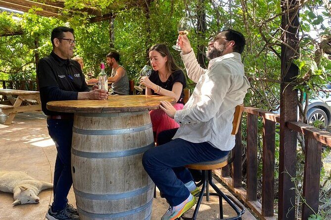 Private Tour in Guadalupe Valley, Vine Yards & Wine Route ENS MX - Is This Tour Right for You?