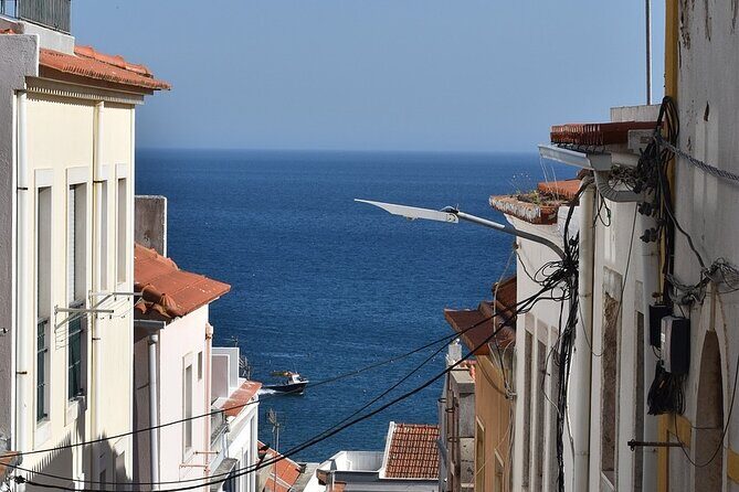 Private Tour in Lisbon - Analyzing the Cost and Value