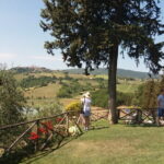 Private Tour in San Gimignano and Chianti Day Trip from Florence - Exploring Greve in Chianti